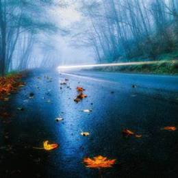 User_1092718