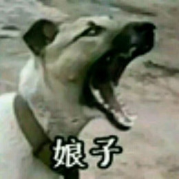 CET 116 Luo Luo