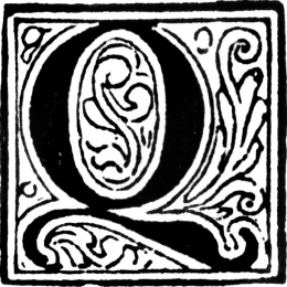QTAY [TR]