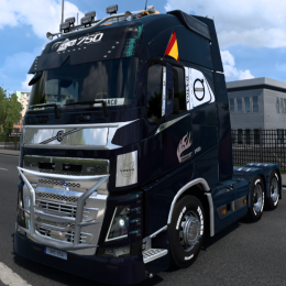 Sarco89