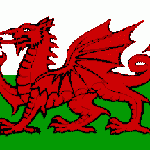 *DraGoN*