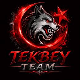 TekbeyLog I psikoo22