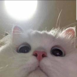EmirK_TR
