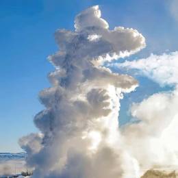 Dakar Rally Camaz driver