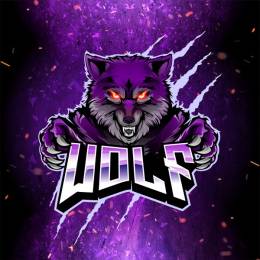 /:\  WOLF /:\'s avatar
