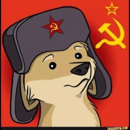 Dis 174 Rus