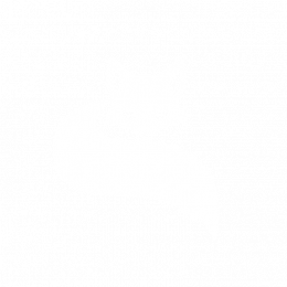 SlyFox :3