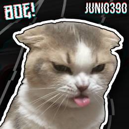 Junio 3K