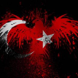 Eq1NoX_Tr's avatar