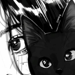 softmidnightkiss's avatar