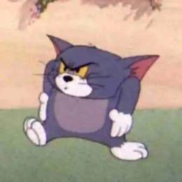 Tom_Cat0
