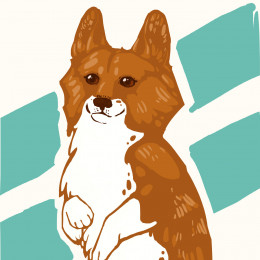 [IMPERIAL] ~ HetNeSS ~