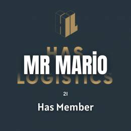 MrMario - 11