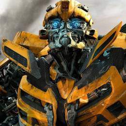 Bumble B