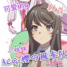 ACG-POY-089*
