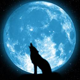 bluezmagic
