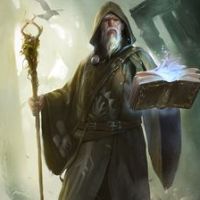 The_Wizard