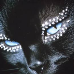 Gαbrielα.'s avatar