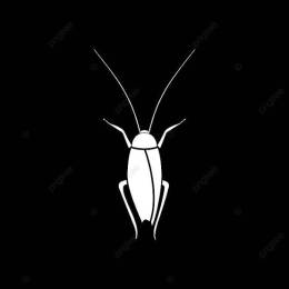 KecoaTerbang's avatar