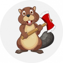 Beaver486