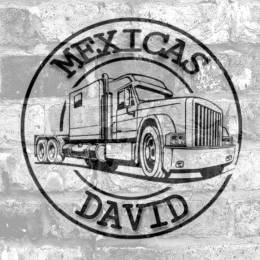 david_ss666