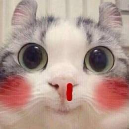 CHUIZI