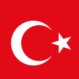 PişinawaMert