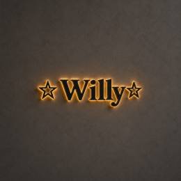 User