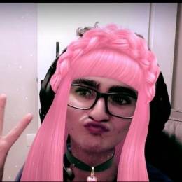 flamingo_lindo