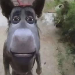 Soooshy