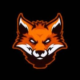foxartsgui