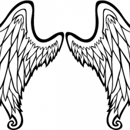 falcon_nl
