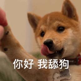 Peak社区-猫哥