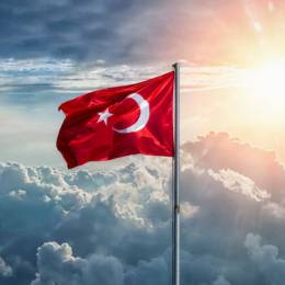 YaşlıKurt07