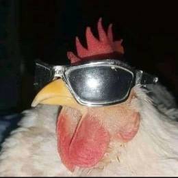 aFrxgg