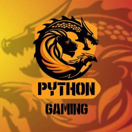 Python_FS