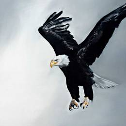 M i K a i L   Y L D Z's avatar