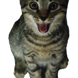 OTUUP