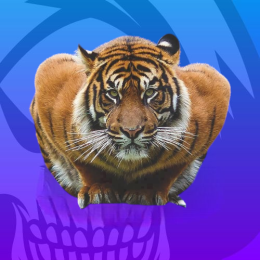 TYGRYS 55