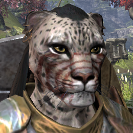TLB_I_Kat