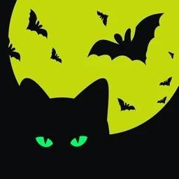 MagicWildCat