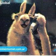 COL [X-TEAM] IamSarz