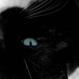 Lilis