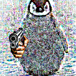 User