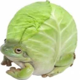 Fleaku
