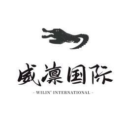 Dou Yin-Wei Lin(C.E.O)