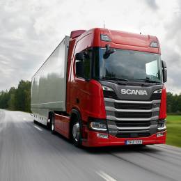 Petr883