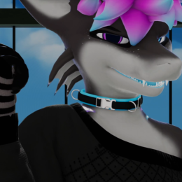 FuzziTheShark:3
