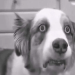 Н.Баданов's avatar