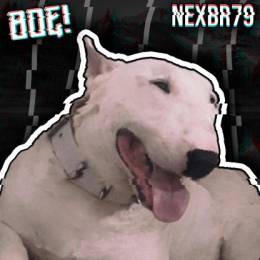 nexbr79